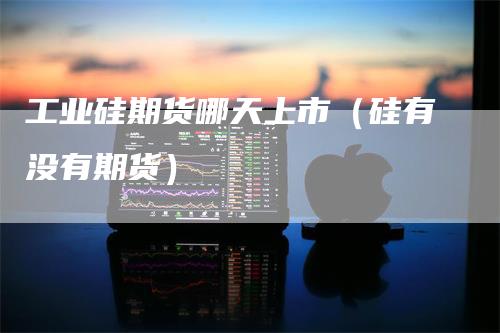 工业硅期货哪天上市（硅有没有期货）