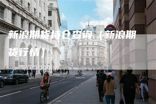 新浪期货持仓查询（新浪期货行情）