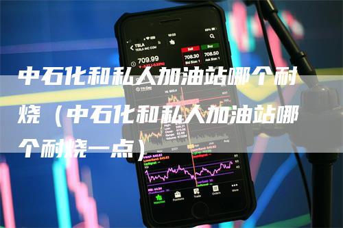中石化和私人加油站哪个耐烧（中石化和私人加油站哪个耐烧一点）