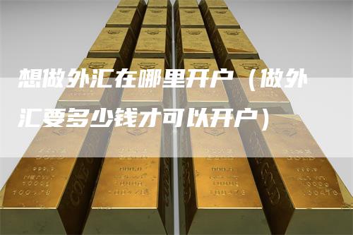 想做外汇在哪里开户（做外汇要多少钱才可以开户）