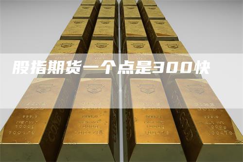 股指期货一个点是300快