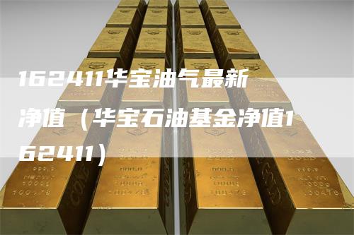 162411华宝油气最新净值（华宝石油基金净值162411）
