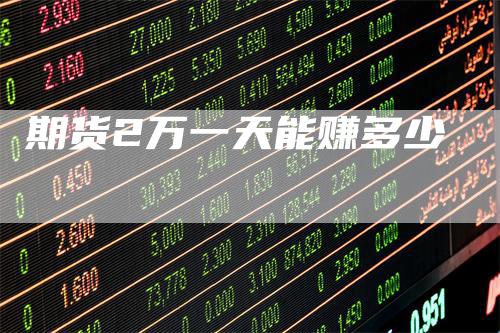 期货2万一天能赚多少