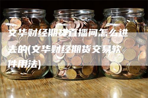 文华财经期货直播间怎么进去的(文华财经期货交易软件用法)