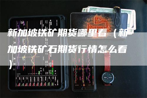 新加坡铁矿期货哪里看（新加坡铁矿石期货行情怎么看）