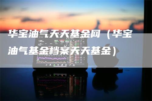 华宝油气天天基金网（华宝油气基金档案天天基金）