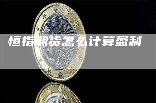 恒指期货怎么计算盈利