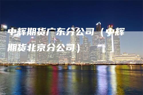 中辉期货广东分公司（中辉期货北京分公司）