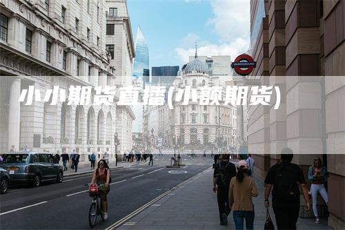 小小期货直播(小额期货)