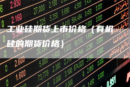 工业硅期货上市价格（有机硅的期货价格）