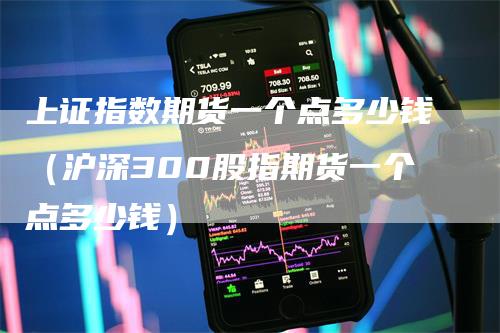 上证指数期货一个点多少钱（沪深300股指期货一个点多少钱）
