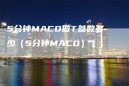 5分钟MACD做T参数多少（5分钟MACD）