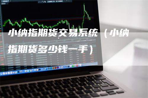 小纳指期货交易系统（小纳指期货多少钱一手）