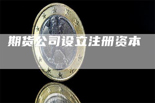 期货公司设立注册资本