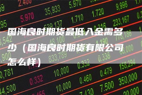 国海良时期货最低入金需多少（国海良时期货有限公司怎么样）