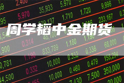 周学韬中金期货