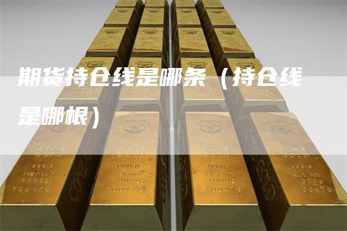 期货持仓线是哪条(持仓线是哪根)-新惠期货