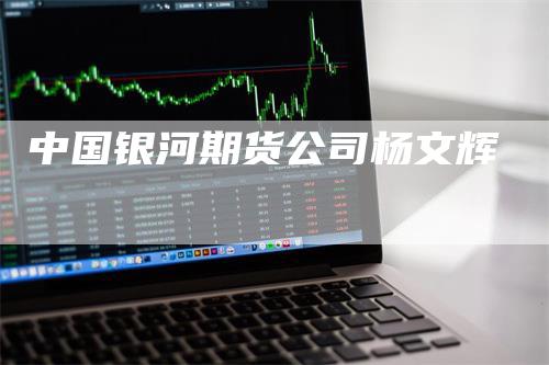 中国银河期货公司杨文辉