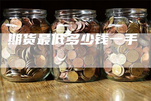 期货最低多少钱一手