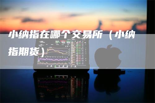 小纳指在哪个交易所（小纳指期货）