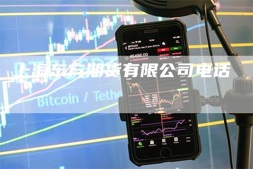 上海东方期货有限公司电话