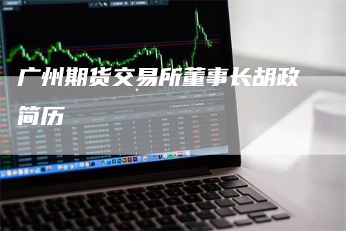 广州期货交易所董事长胡政简历