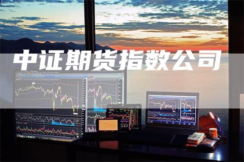 中证期货指数公司