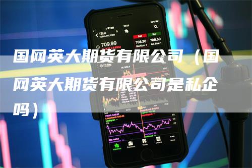 国网英大期货有限公司（国网英大期货有限公司是私企吗）