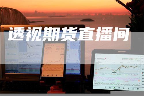 透视期货直播间