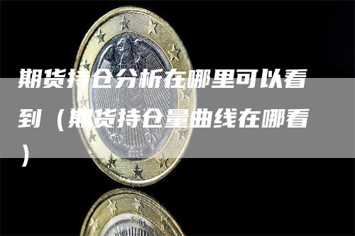 期货持仓分析在哪里可以看到（期货持仓量曲线在哪看）