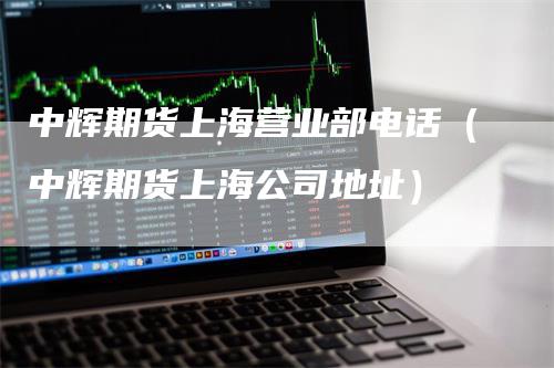 中辉期货上海营业部电话（中辉期货上海公司地址）