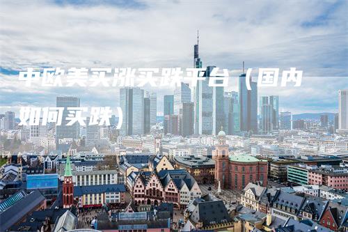 中欧美买涨买跌平台（国内如何买跌）