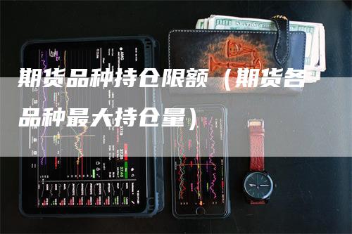 期货品种持仓限额（期货各品种最大持仓量）