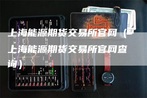 上海能源期货交易所官网（上海能源期货交易所官网查询）