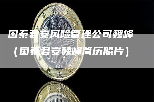 国泰君安风险管理公司魏峰（国泰君安魏峰简历照片）