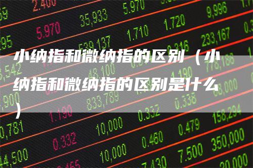 小纳指和微纳指的区别（小纳指和微纳指的区别是什么）