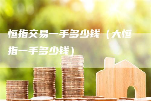 恒指交易一手多少钱（大恒指一手多少钱）