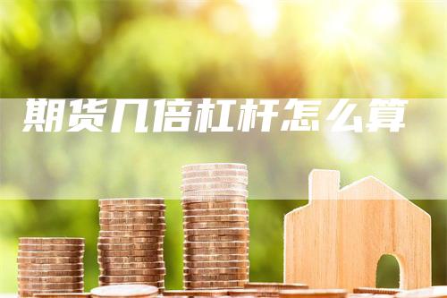 期货几倍杠杆怎么算