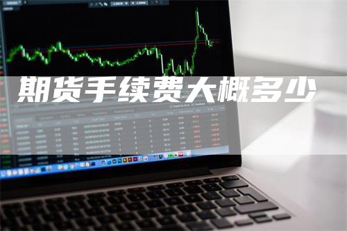 期货手续费大概多少