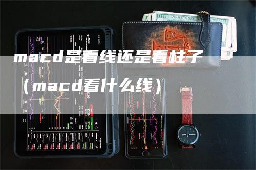 macd是看线还是看柱子（macd看什么线）