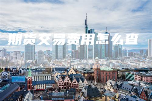 期货交易费用怎么查