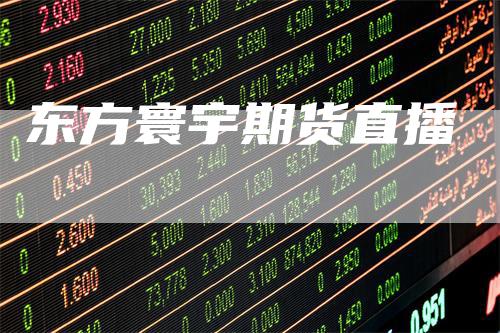 东方寰宇期货直播