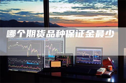 哪个期货品种保证金最少