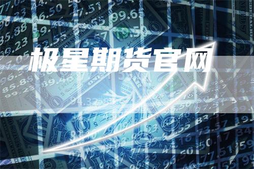 极星期货官网