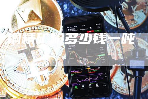 铜精矿粉多少钱一吨