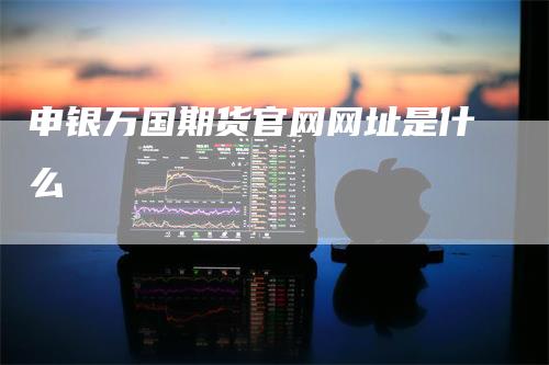 申银万国期货官网网址是什么