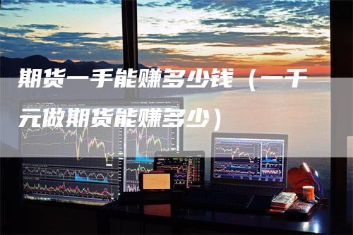 期货一手能赚多少钱（一千元做期货能赚多少）