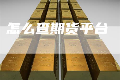 怎么查期货平台