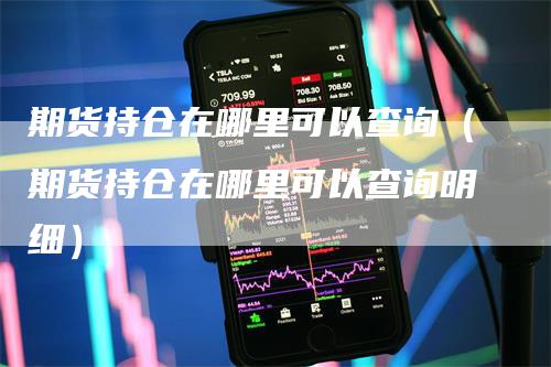 期货持仓在哪里可以查询（期货持仓在哪里可以查询明细）