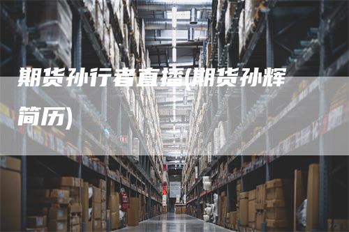期货孙行者直播(期货孙辉简历)